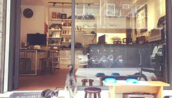 Phaspatial Studio 墨相空間 - 新北市