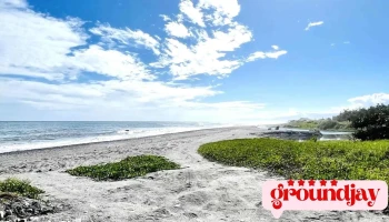 东海湿地公园 - 台湾台東縣台東市