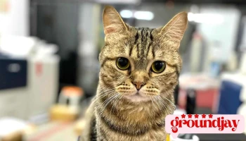全富印刷廠 - 台東縣台東市
