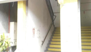 加班猫 - 苗栗縣苗栗市