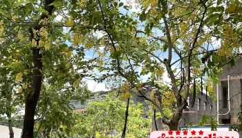 台北自来水事业处 - 台北市