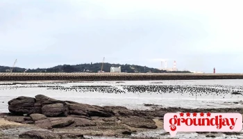 后湖海濱公園 - 892