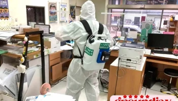 大花蓮環衛病媒防治有限公司-清潔消毒白蟻除蟲防治專家 - 花蓮縣花蓮市