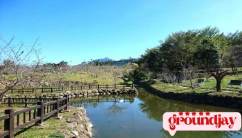 小半天旅游服务中心 - 558台湾南投縣鹿谷鄉光復路174號
