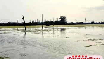 成龙湿地 - Yunlin County, Kouhu Township