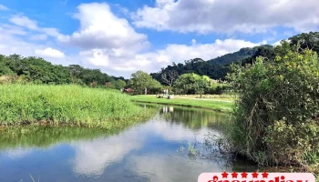 月眉人工湿地生态公园 - 桃園市