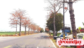 虎尾木棉花道 - 633台湾雲林縣虎尾鎮145縣道