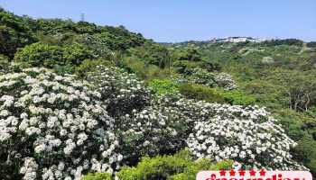 銅鑼科學園區 - 366台湾 Miaoli County, Tongluo Township