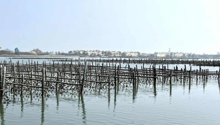 Bu Dai Hai Shang Ba Shi Dan Gao Sha Tan Chiayi County Budai Township - Chiayi County, Budai Township