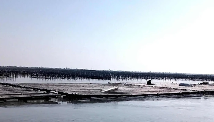 Bu Dai Hai Shang Ba Shi Dan Gao Sha Tan 折扣 - Chiayi County, Budai Township