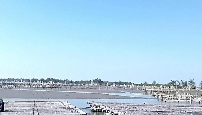Bu Dai Hai Shang Ba Shi Dan Gao Sha Tan 視頻 - Chiayi County, Budai Township