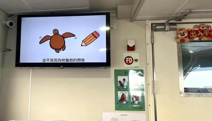 Dong Gang Du Chuan Ma Tou Gong Ying 立即開放 - Taiwan
