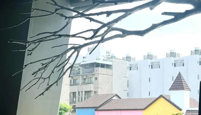 Dun Fu Xing Xiang Ce Lue Diffiner Design 網站 - Pingtung County, Pingtung City