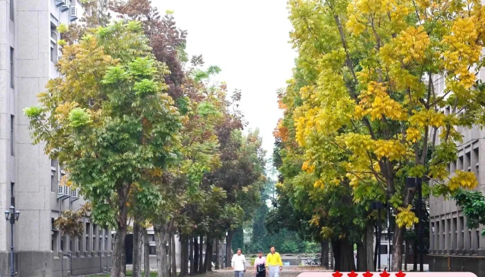 Guo Li Yun Lin Ke Ji Da Xue  Xue Sheng Su She Qu You Fang Ke Ti Gong - Yunlin County, Douliu City