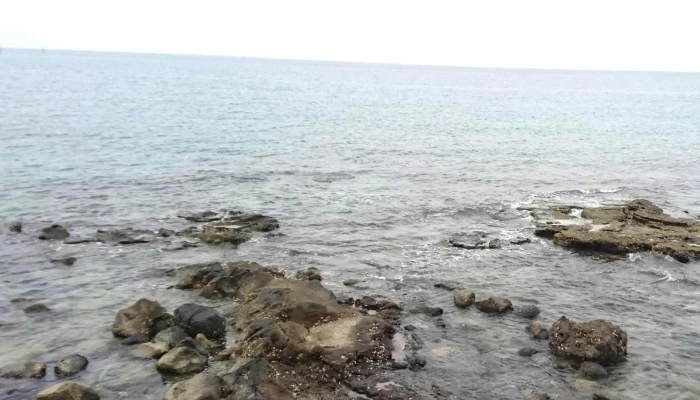Guo Xie Hui Yao Lu You Zi Xun Zhan 價格 - Penghu County, Huxi Township