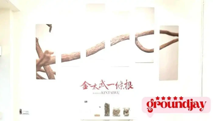 Jin Tai Wu Yi Tiao Gen Ben Pu Da Shi Dian Quan Bu - Kinmen County, Jincheng Township