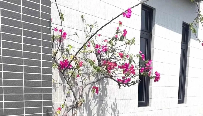 Lu Si Nong Zhuang  Yi Lan Villa Yilan County Wujie Township - Yilan County, Wujie Township