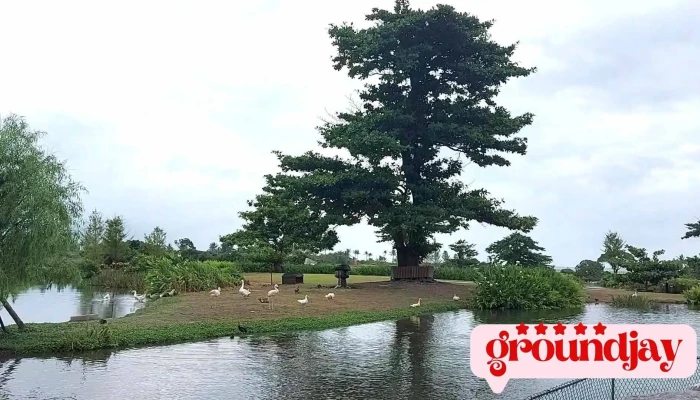 Ma Ma Nong Chang  Mama Farm Shi Pin - Hualien County, Ji’an Township