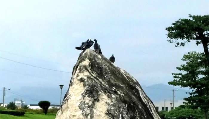Ma Ma Nong Chang  Mama Farm 旅游胜地 - Hualien County, Ji’an Township