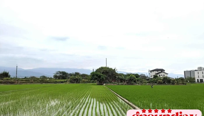 Nan Ji Chang Feng Xiang Dai Nai Bao Tong Xin Suo Quan Bu - Yilan County, Yilan City
