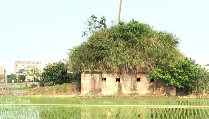 Nan Ji Chang Feng Xiang Dai Nai Bao Tong Xin Suo 促銷 - Yilan County, Yilan City