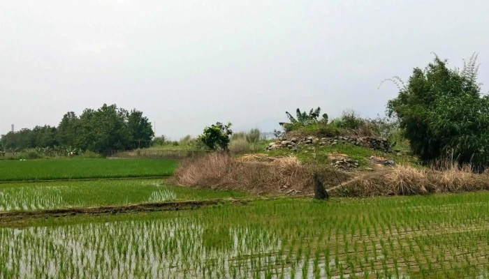 Nan Ji Chang Feng Xiang Dai Nai Bao Tong Xin Suo 價格 - Yilan County, Yilan City