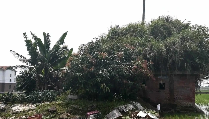Nan Ji Chang Feng Xiang Dai Nai Bao Tong Xin Suo 評分 - Yilan County, Yilan City