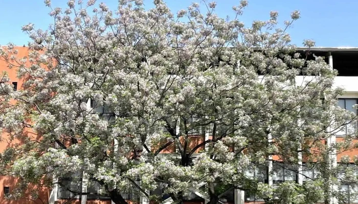 Nan Tai Ke Ji Da Xue Zui Xin - Tainan City, Yongkang District