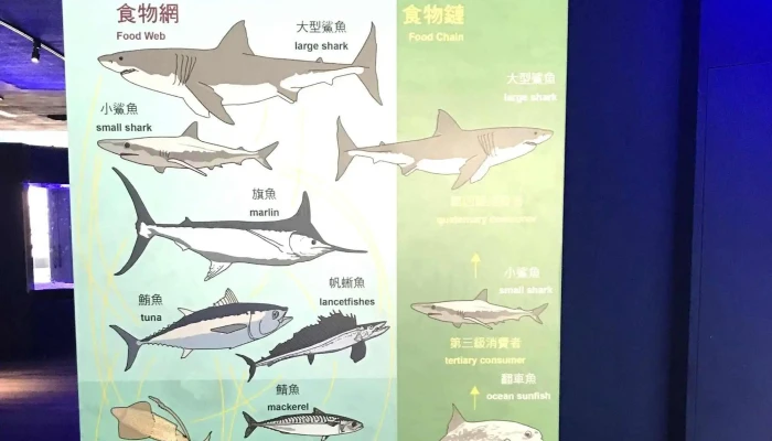 Peng Hu Shui Zu Guan 號碼 - Penghu County, Baisha Township