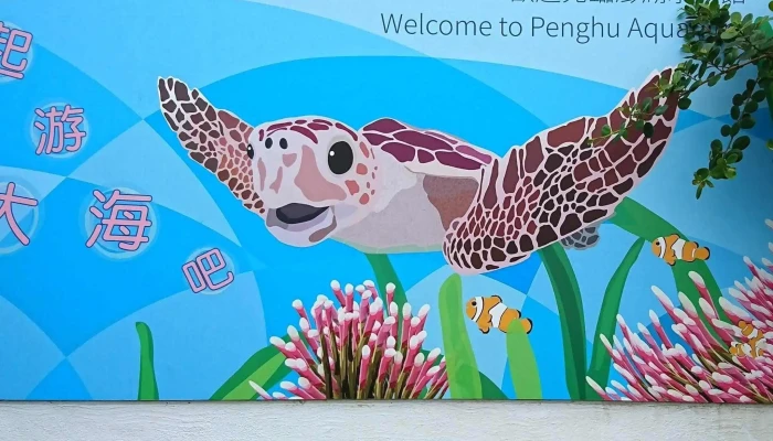 Peng Hu Shui Zu Guan 評論 - Penghu County, Baisha Township