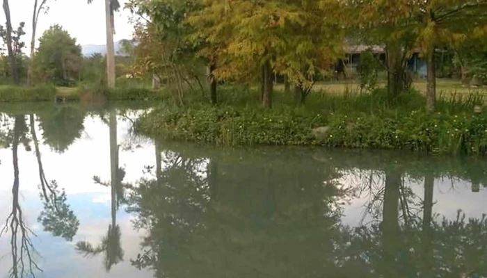 Ri Guang Qing Hang Ji Chang 飞机跑道 - Hualien County, Shoufeng Township