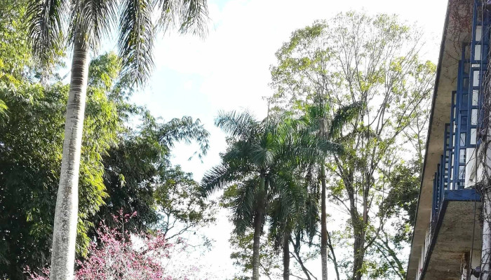 Ri Yue Lao Cha Han 區域 - Nantou County, Yuchi Township