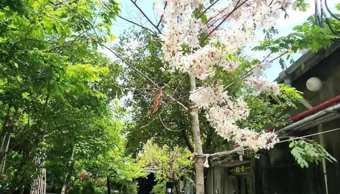 Shi Gu Ren Tang Wen Hua Yuan Qu Zui Xin - Tainan City, Rende District