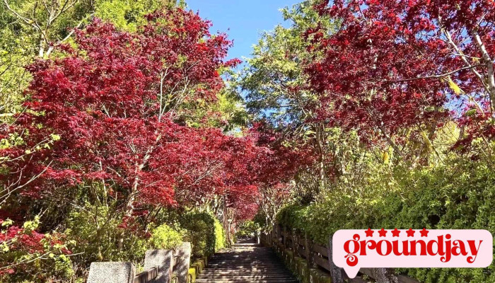 Tai Ping Shan Sen Lin You Le Qu Shi Pin - Yilan County, Datong Township