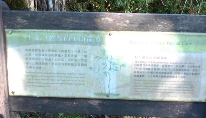 Tai Ping Shan Sen Lin You Le Qu 評論 - Yilan County, Datong Township