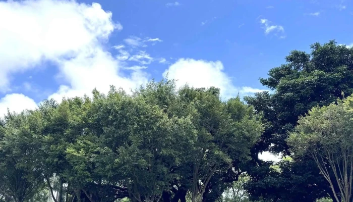 Tai Wan Hua Lian Di Fang Fa Yuan 評論 - Hualien County, Hualien City
