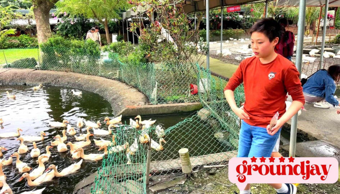 Tai Wan Yi Lan Bao Che Tai Bei Yi Lan Bao Che Tai Wan Huan Dao Bao Che Ji Chang Jie Song Fu Wu Shi Pin - Yilan County, Luodong Township
