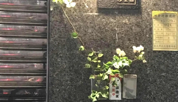 Tiao Ti Xuan Wu Gai Nian Dian  Zhan Shi Zhong Xin Nei Bu - Chiayi City, West District