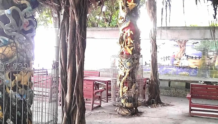 Tong Liang Gu Rong 澎湖县白沙乡 - 澎湖县白沙乡