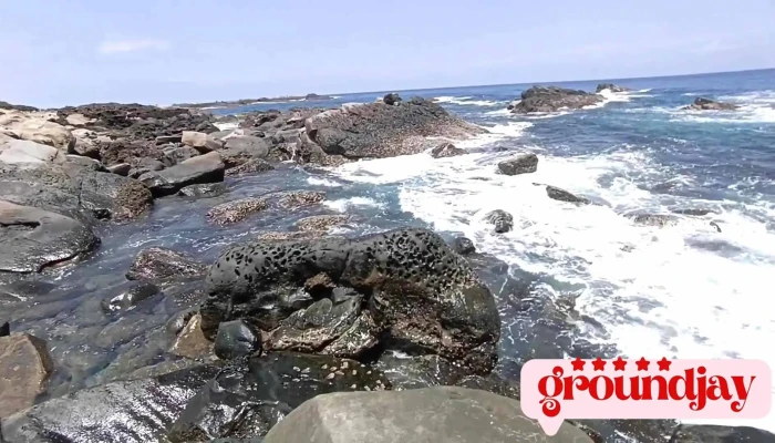 Xiao Ye Liu You Ke Zhong Xin Shi Pin - Taitung County, Taitung City