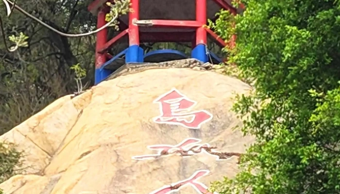 Dadan Dao -  評論 - Taiwan