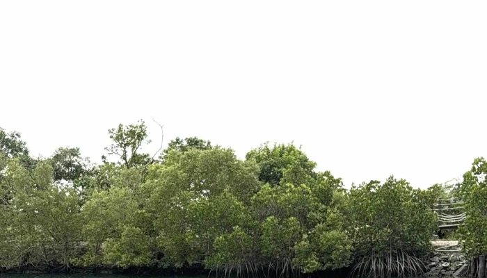 Dapeng Bay Scenic Area Administration -  評論 - Pingtung County, Donggang Township