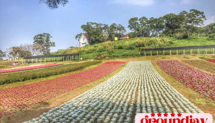Daxi Blooming Oasis -  Quan Bu - Taoyuan City, Daxi District
