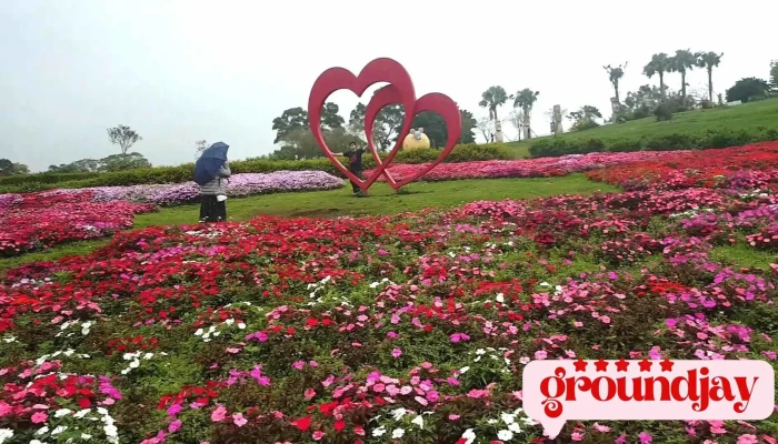 Daxi Blooming Oasis -  Shi Pin - Taoyuan City, Daxi District