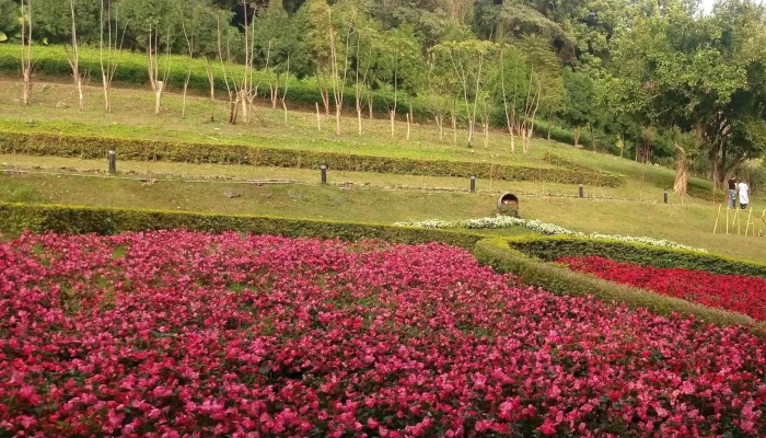 Daxi Blooming Oasis -  目錄 - Taoyuan City, Daxi District