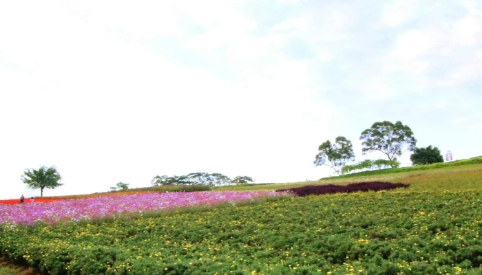 Daxi Blooming Oasis -  評分 - Taoyuan City, Daxi District