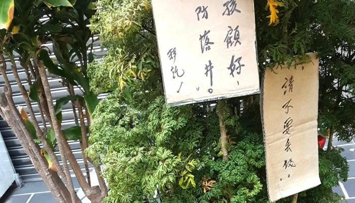 Four-eyedwell - Penghu County, Magong City