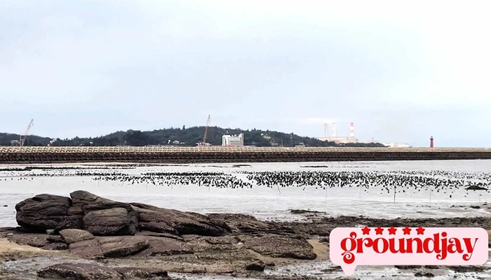后湖海濱公園 - 892