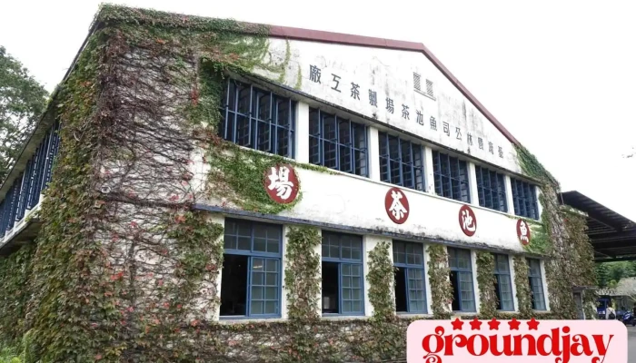 日月老茶厂 - Nantou County, Yuchi Township