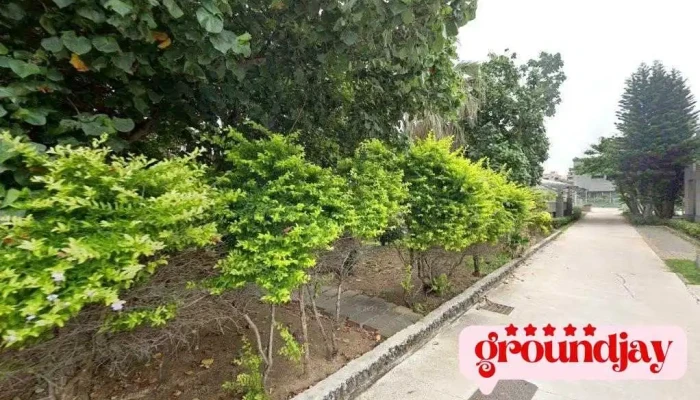 晁田能源有限公司 - 台湾台灣馬公市880澎湖縣馬公市東衛7-5號